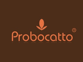 Probocatto